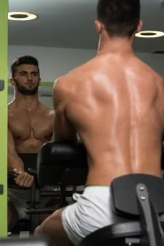 Young Bodybuilder Exercising Biceps With Machine Stock Photos