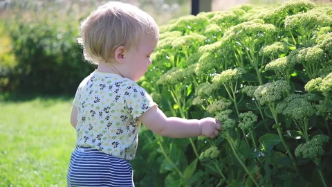 Young botanist Stock Footage 137169038