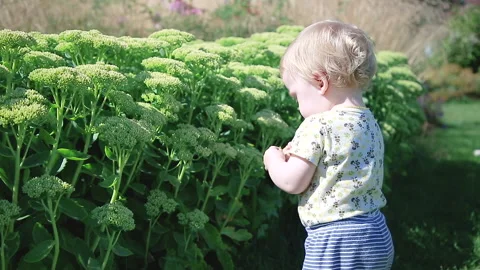 The young botanist is studying the vegetation Stock Footage 137168880