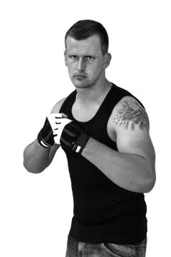 Young boxer Stock Photos