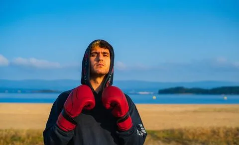 Young boxer posing Stock Photos