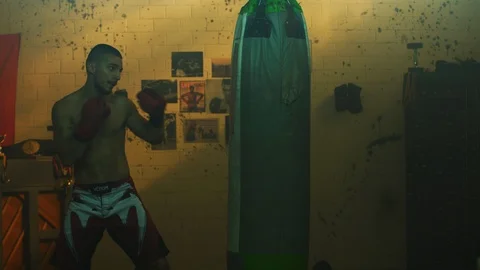 Young boxer training Stock Footage 100034784