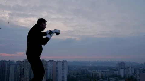 Young boxer training on the roof when birds flying in the sky Stock Footage 83401250