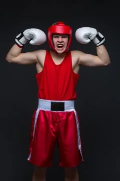 Young boxer winner Stock Photos