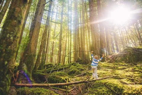 Young boy (4-5) balancing on log in forest Stock Photos