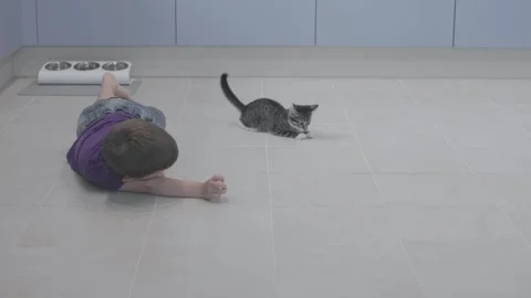 Young boy and cat engaged in play on floor happiness and playful moments of Stock Footage 281884137
