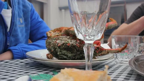 Young boy and man eating crabs Stock Footage 239108688