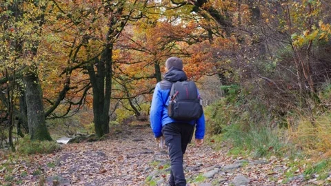 A young boy, with backpack camera and tripod in hand, walking through a tra.. Stockbeeldmateriaal 254804067