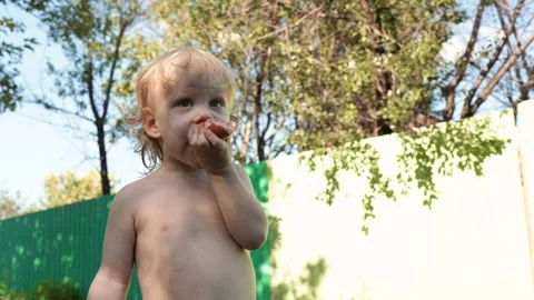Young boy blissfully indulges in a cookie with his hands and face unwashed Stock Footage 279151604