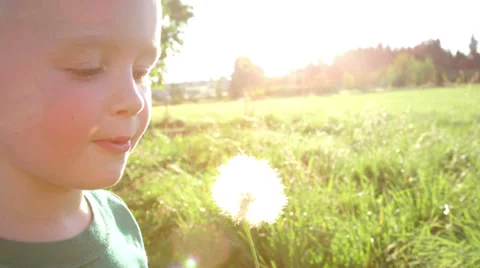 Young boy blows dandelion in the park. Vidéo 38842780