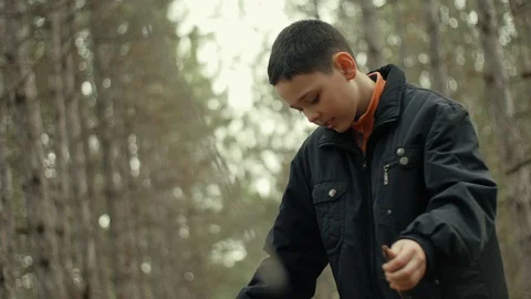 Young boy braking a stick in the forest Vidéo 104708131