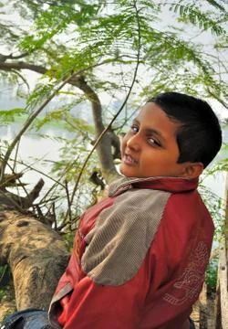 Young Boy On A Branch Of A Tree Stock Photos