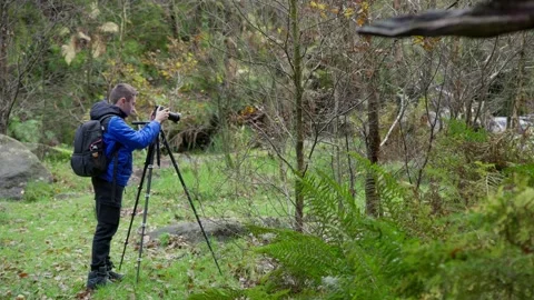 Young boy with camera and tripod, photographing the tranquil autumn-winter .. 库存影片 254805129