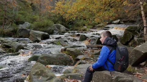 Young boy, camera and tripod, captures serene autumn-winter woodland, meand.. Видео 254806100