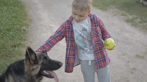 Young boy caressing and playing with his dog outdoors at sunset. Stock-Footage 158155448
