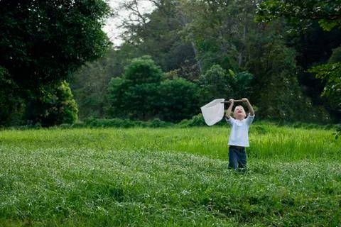Young boy chasing butterflies with net Stock Photos