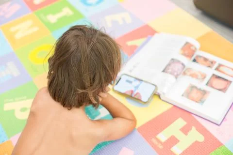 Young boy child advanced learning about the human body home school Stock Photos