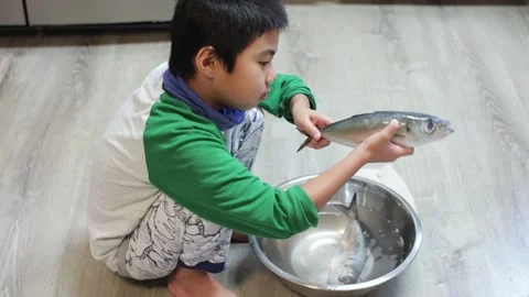 Young boy child touch observes raw fresh scad fish before cleaning and cooking. Stock Footage 130421464