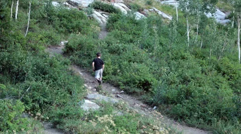 Young boy climbs mountain trail HD 8610 Stock Footage 27182341