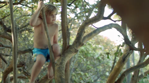 A Young Boy Climbs A Tree And Smiles At Camera Video stock 36874666