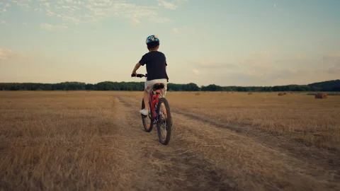 Young boy confidently rides his bicycle down sunlit country road, golden rye Stock Footage 346134963