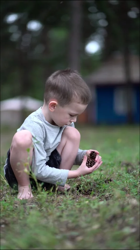 Young boy crouches in forest gathering pine cones.  Video stock 338415518