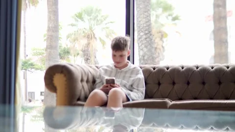 A Young Boy Deeply Engrossed in His Mobile Phone in a Cozy Living Room Stock Footage 317006460