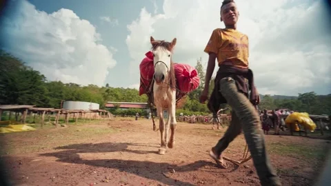 Young boy delivering coffee to the coffee farm in Ethiopia, Africa 스톡 동영상 219927195