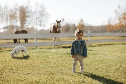 A young boy in a denim jacket stands on a sunlit farm, facing the camera Stock Photos