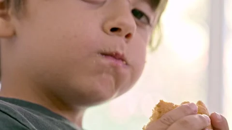 Young Boy Devours A Slice Of Cake With Excitement While Looking Into The Came Stock Footage 271248806