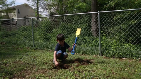 Young boy digging a hole in the back yard Stock Footage 22935304