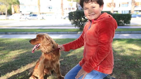 Young Boy With Dog Stock Footage 56558628