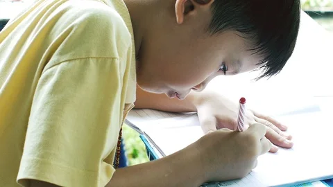 Young Boy Doing Homework in the Garden Vídeo Stock 99028804
