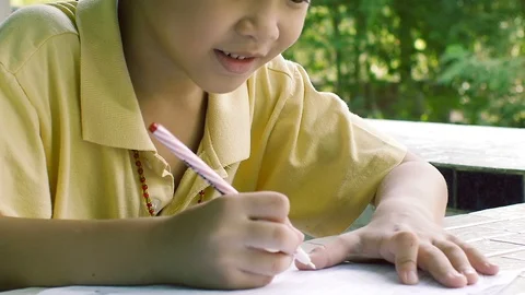 Young Boy Doing Homework in the Garden Stock Footage 99043115