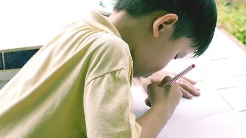 Young Boy Doing Homework in the Garden Stock Footage 99067033
