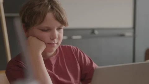 Young Boy Doing Homework On His Computer Stock Footage 208803968