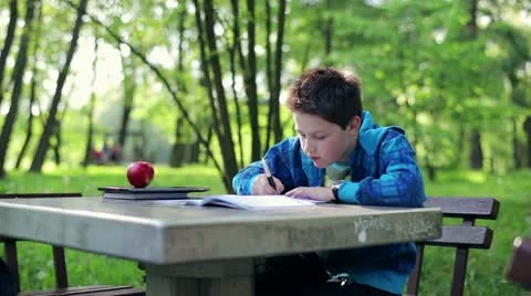 Young boy doing homework in the park HD Stock Footage 10985840