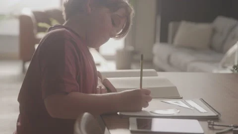 Young Boy Doing Math Problems Stock Footage 208804543