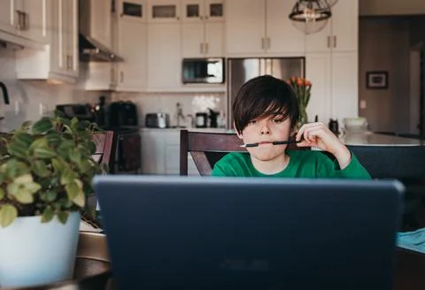 Young boy doing on school work online on computer at kitchen table. 写真素材