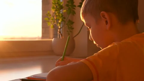 Young boy drawing with colored pencils at sunset shines Stock Footage 325663726