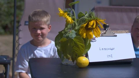 Young Boy Drinking Lemonade Behind Lemonade Stand Stock Footage 94397767