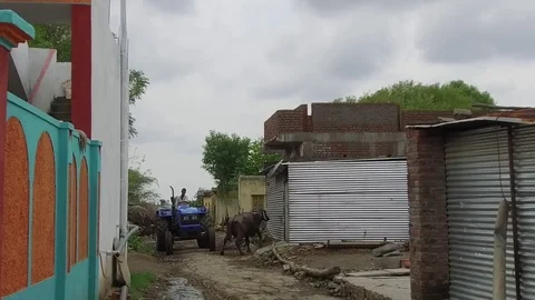 Young boy driving tractor Stock Footage 77572552