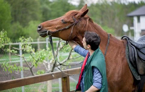Young boy during the high mounting walking meets a young horse and communic.. 스톡 사진