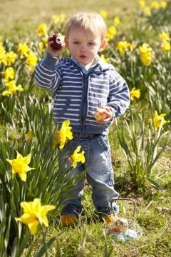 Young boy on easter egg hunt in daffodil field Stock Photos
