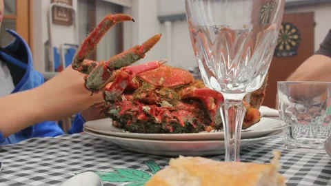 Young boy eating crabs Stock Footage 239913116