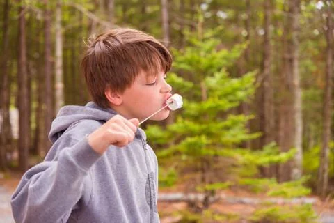 Young boy eating marshmallow Stock Photos