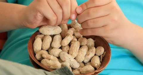 Young boy eating peanut Stock Footage 89039206