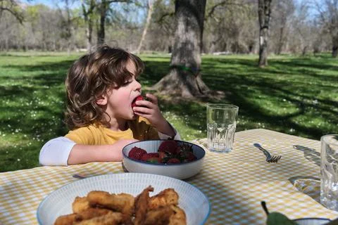 A young boy is eating a strawberry while sitting at a table with a bowl of fruit Stock Photos