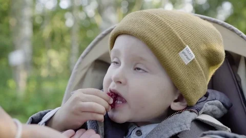 Young boy eats berries Stock Footage 85373341