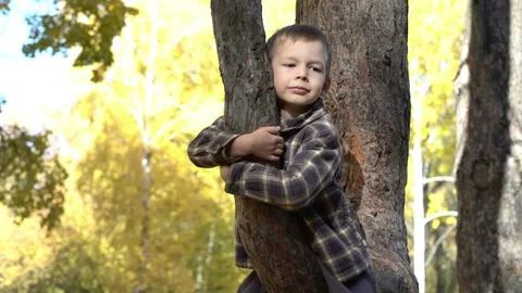 A young boy embraces a large tree in a beautiful autumn forest filled with Video stock 347681765